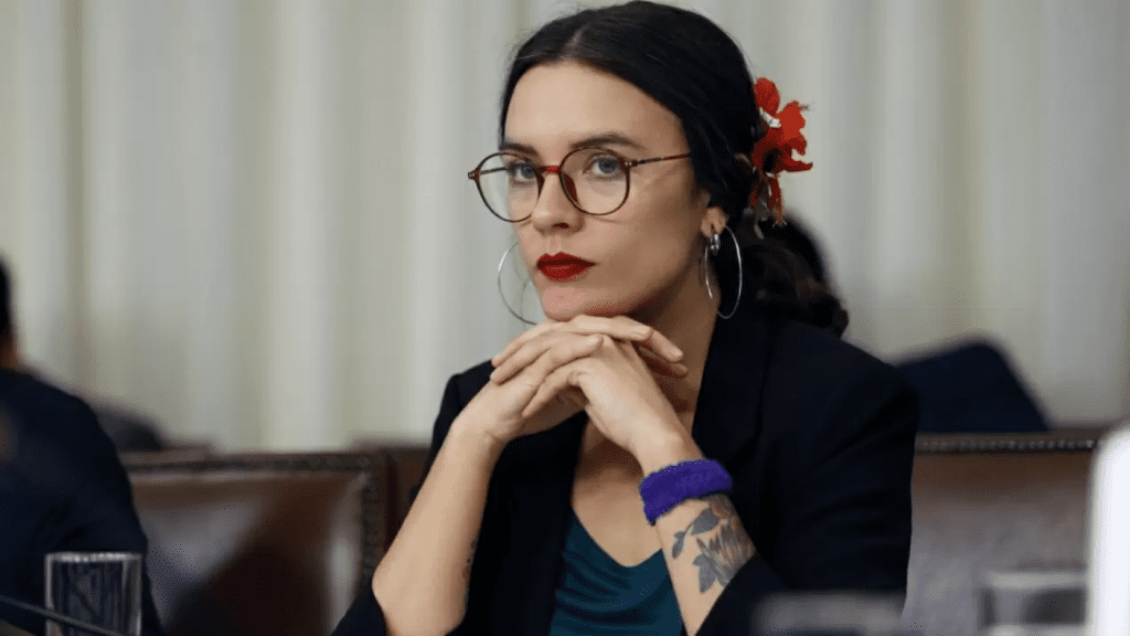 Ministra Camila Vallejo durante conferencia de prensa en La Moneda.