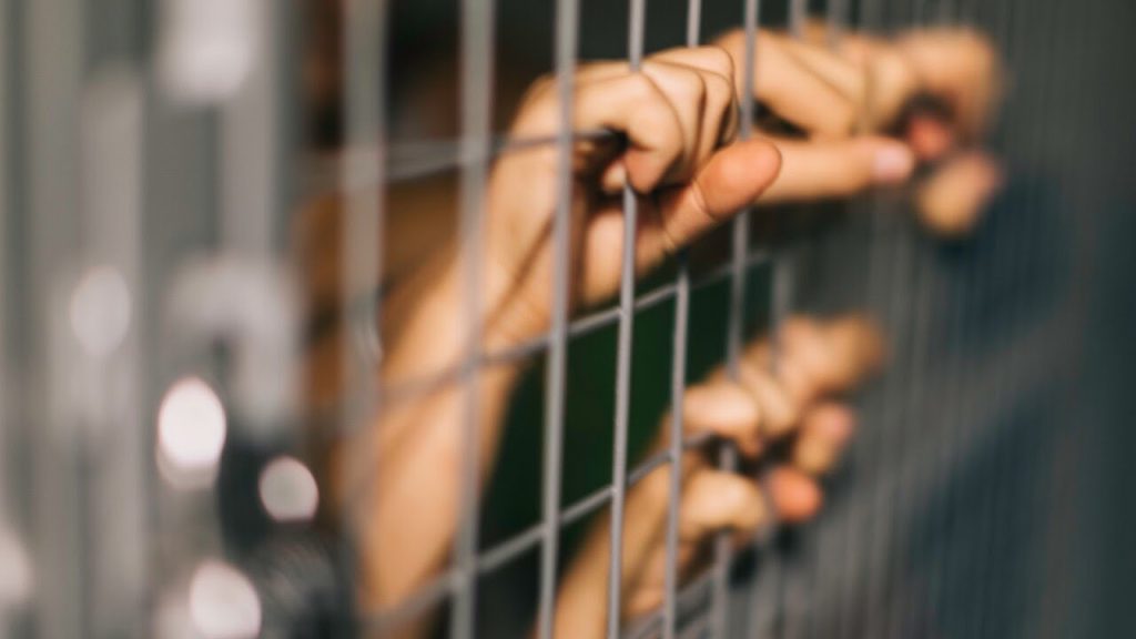 libertad condicional