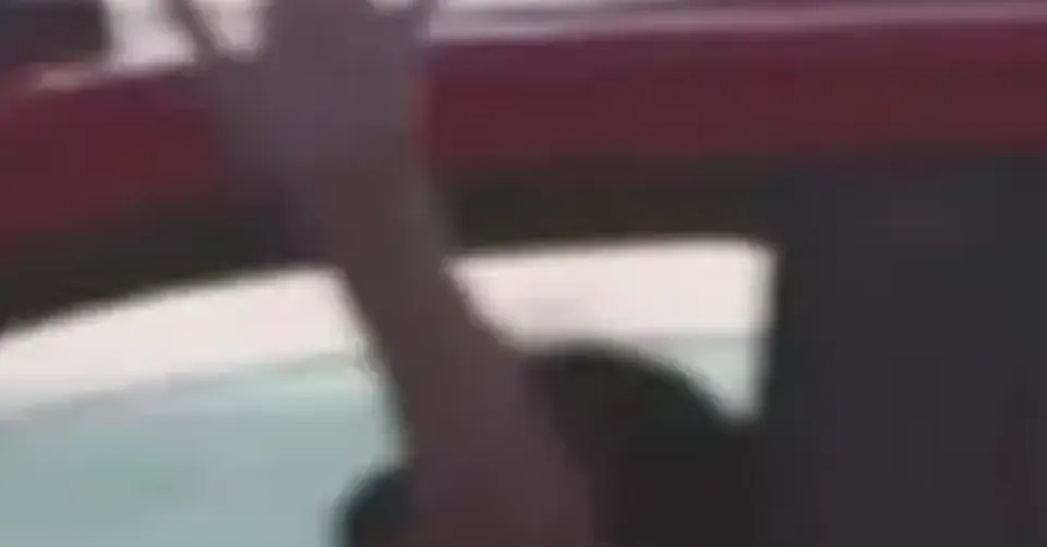 Cristóbal Verschae González