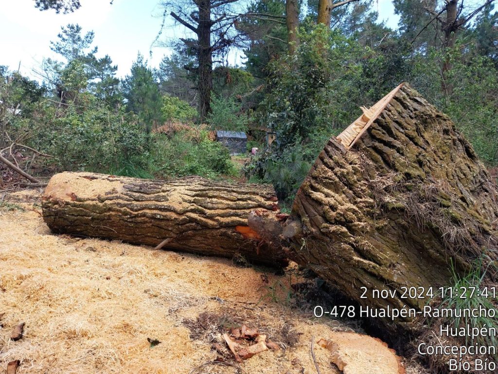 WhatsApp Image 2024 11 03 at 15.48.35 2