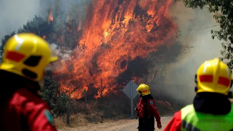 Botón Rojo Biobío alto riesgo incendios forestales