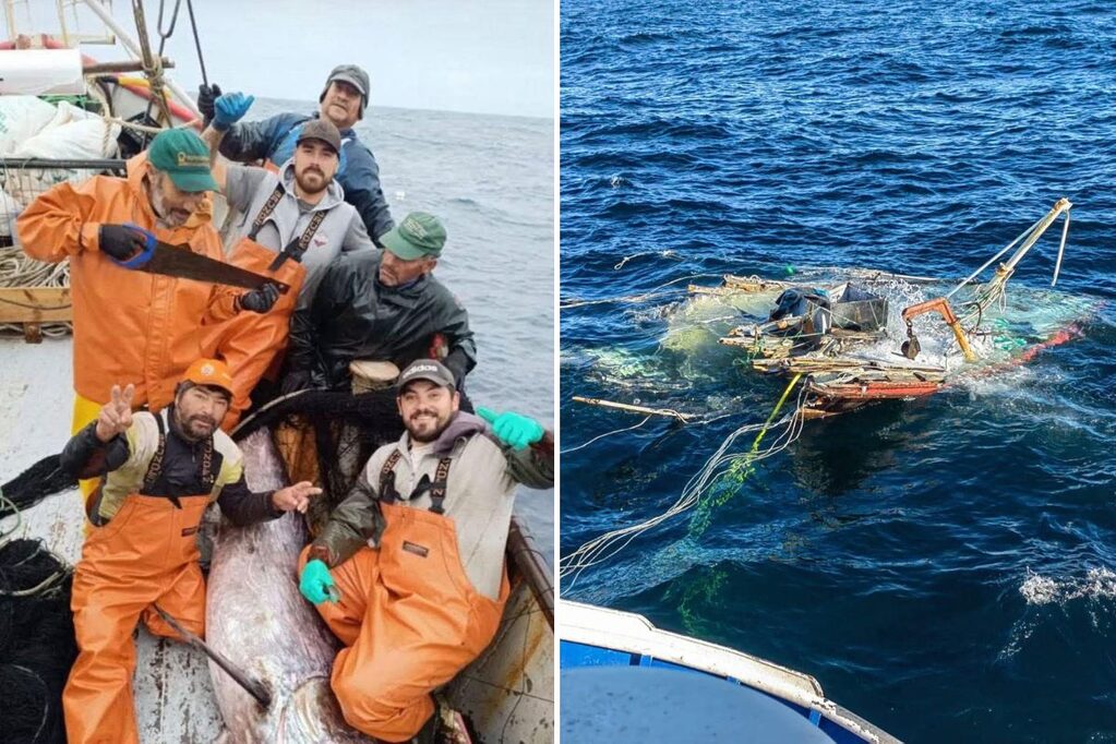 MC2L2RS54NAP5KZFDR6Y7AXSLY