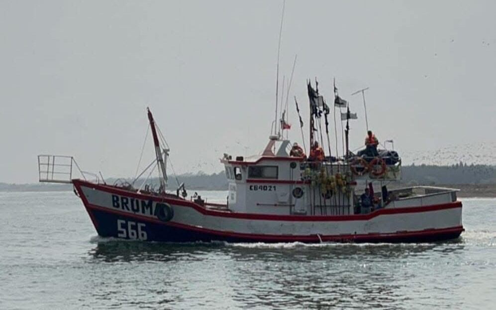 QI5AMD2XRFDKFDW4COAGOR2BAM 1