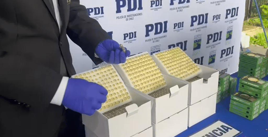 Paquetes de marihuana incautados por la PDI en Concepción, con la distintiva imagen del narcotraficante Pablo Escobar en el envoltorio.