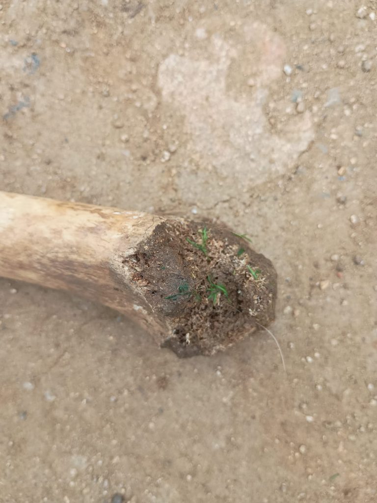 WhatsApp Image 2025 08 28 at 16.32.42 1