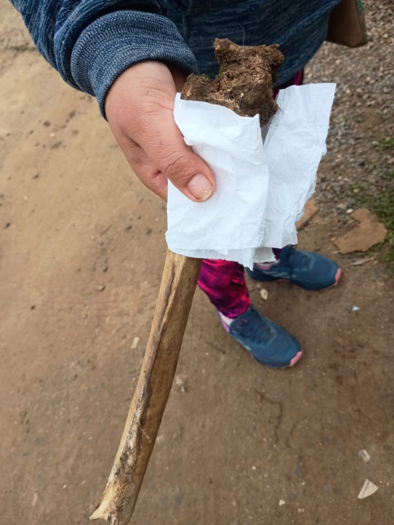 WhatsApp Image 2025 08 28 at 16.32.42 2