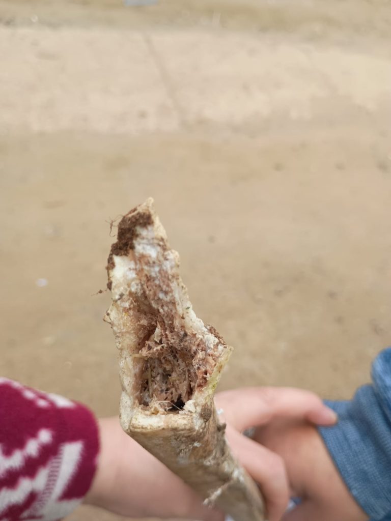 WhatsApp Image 2025 08 28 at 16.32.42