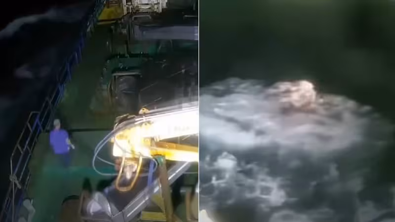 Videos-flotando-choque-bruma-cobra-investigacion