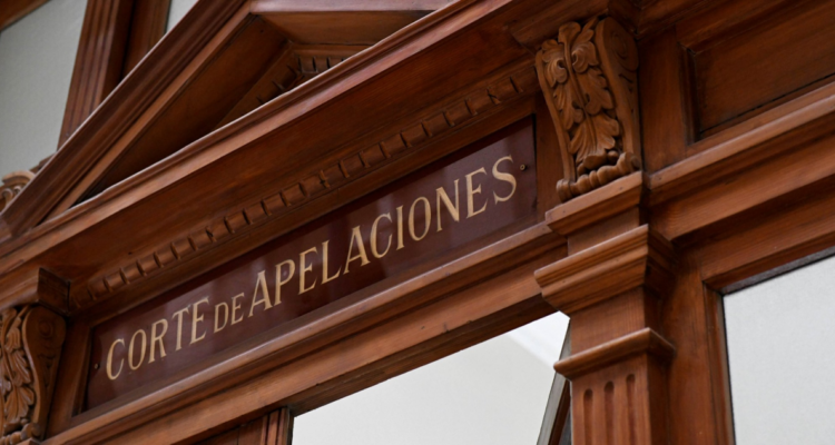 Imagen de una gran mancha de humedad y moho en el techo de un departamento, producto de una filtración de agua.