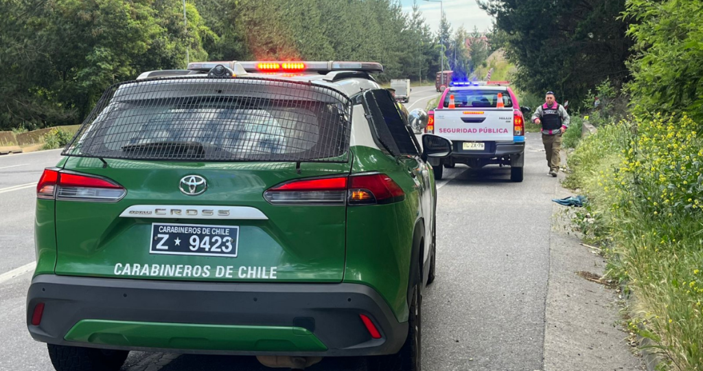 hallan cuerpo en cercanias de la ruta 150 en penco 1