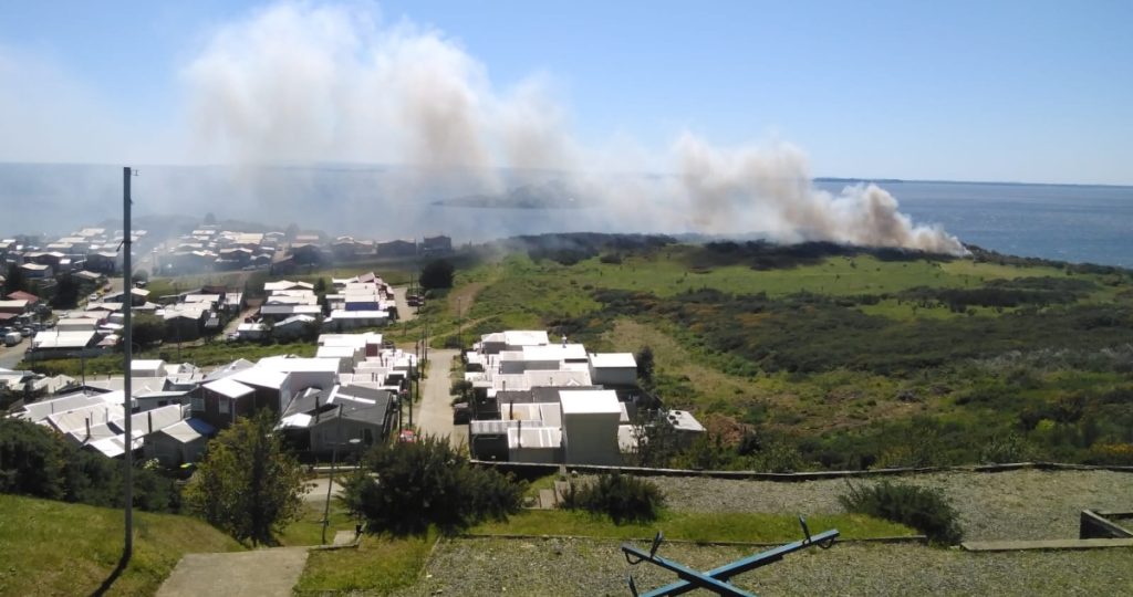 incendio forestal